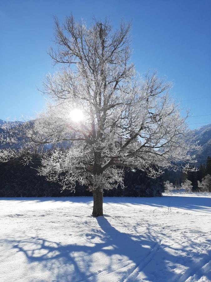 Alpenlodge Kirchbach Kirchbach  Exteriér fotografie