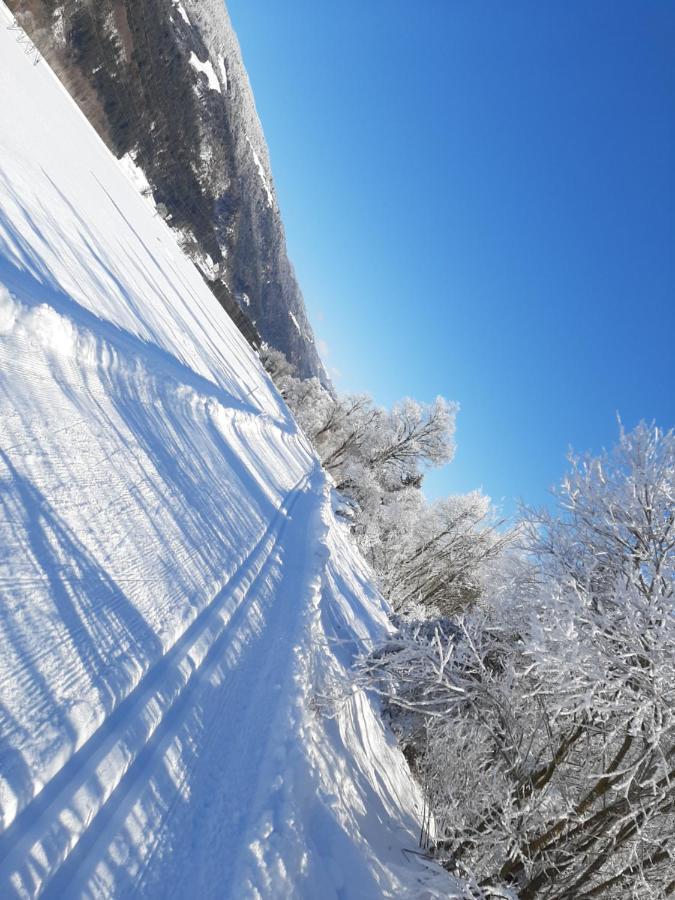 Alpenlodge Kirchbach Kirchbach  Exteriér fotografie
