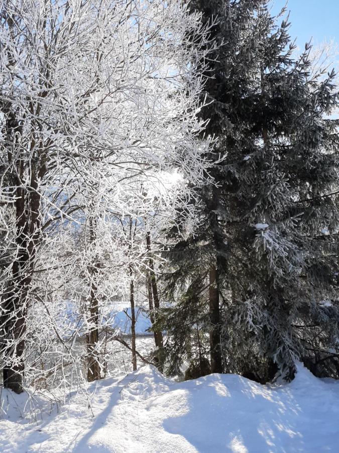 Alpenlodge Kirchbach Kirchbach  Exteriér fotografie